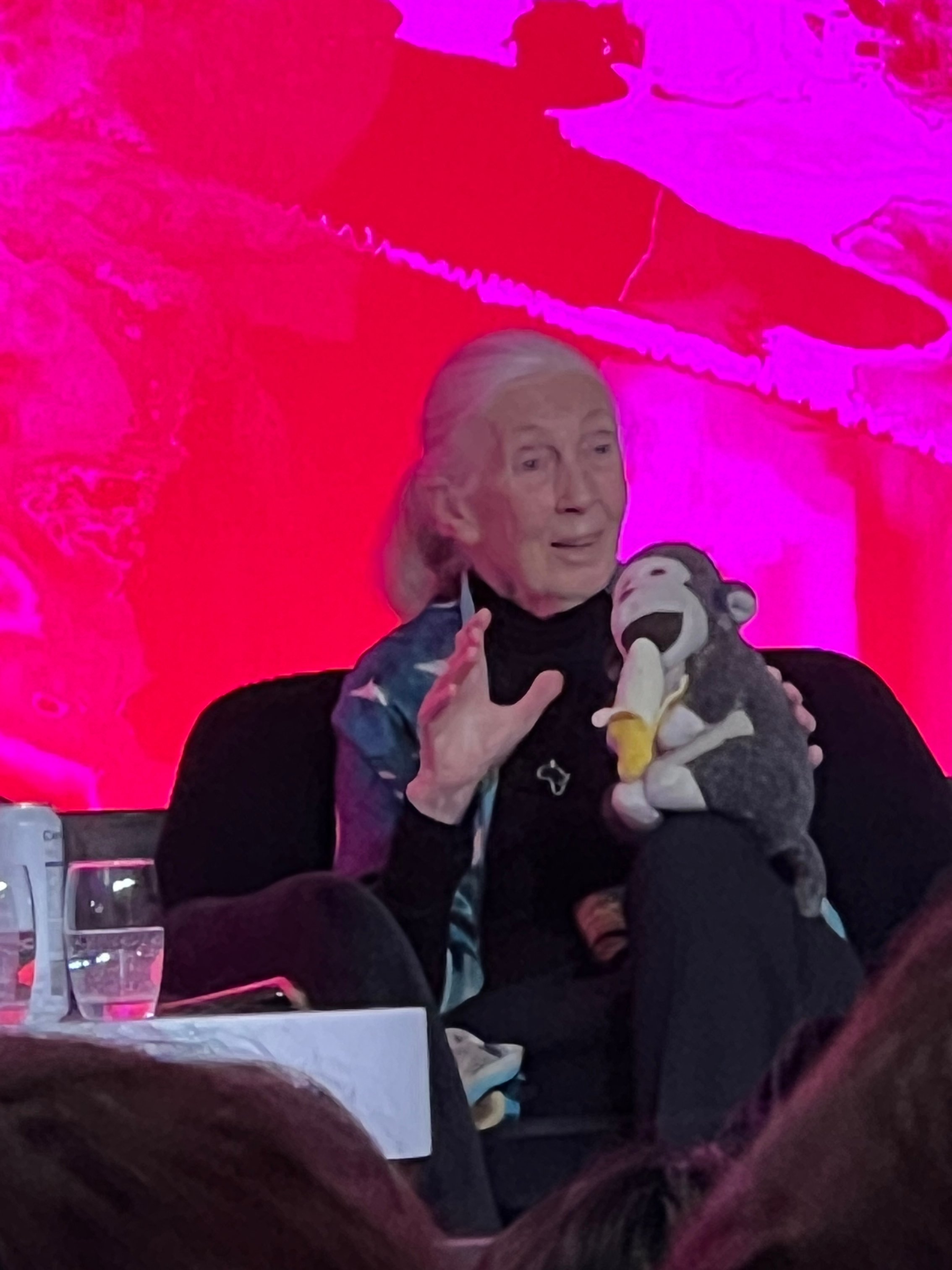 Jane Goodall och apa